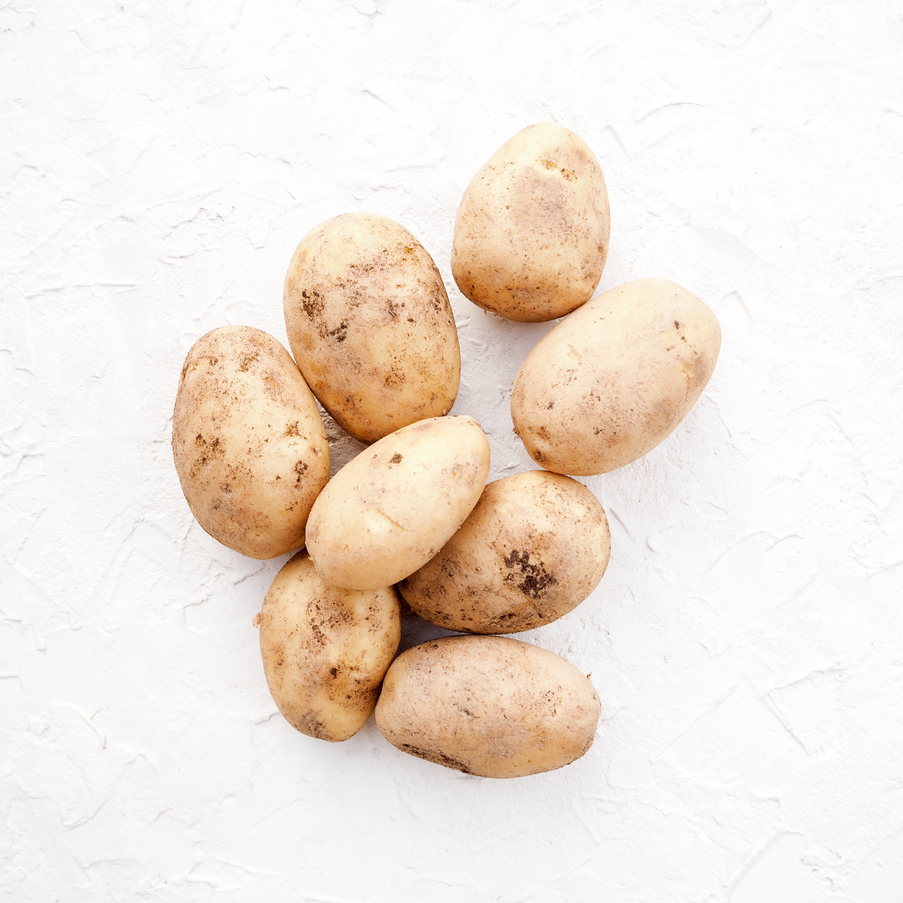Какие семена картошки. Семена картошки. Семенной картофель. Семенная картошка.